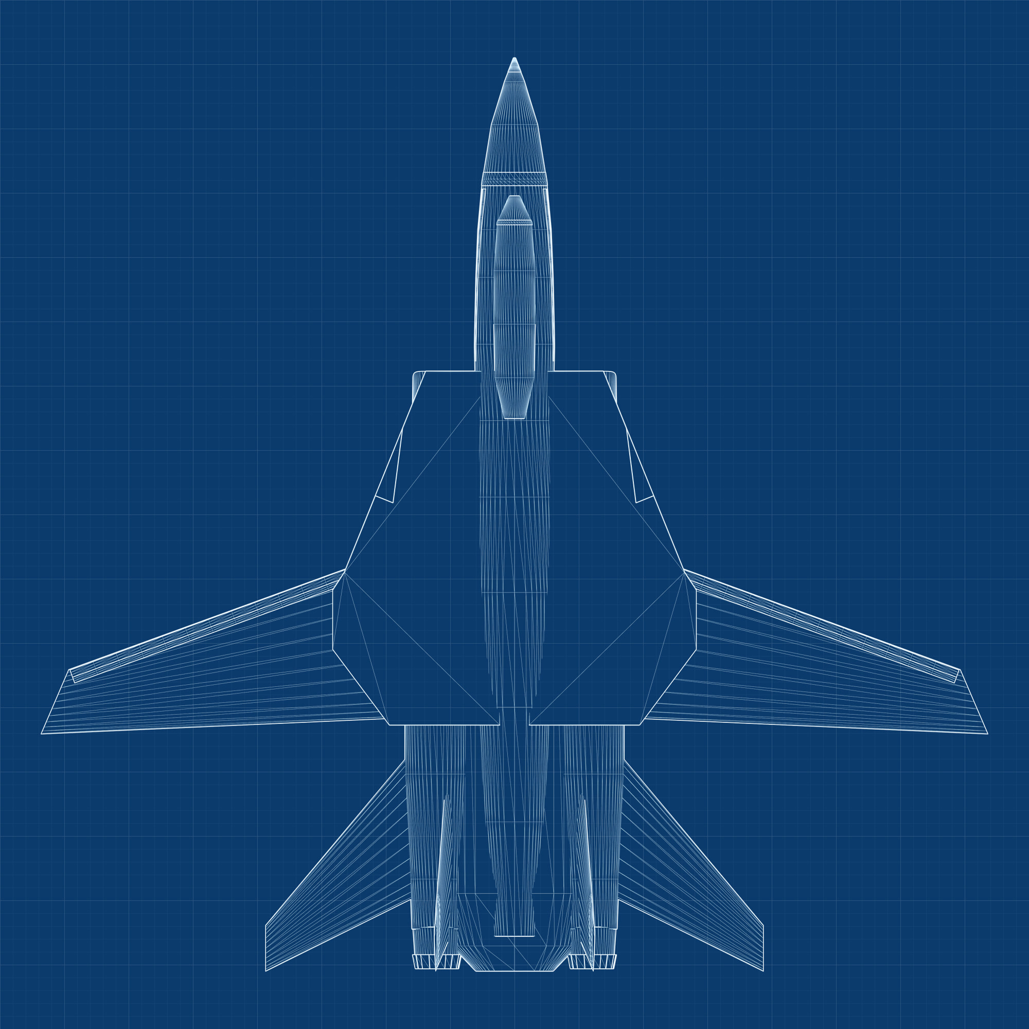 Blueprint, top view: the F-14's real mesh as wireframe on blueprint blue.